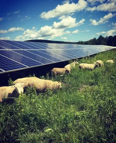Solar panel installation